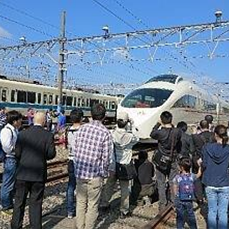 新しいパター